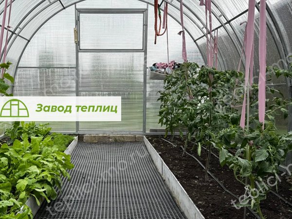 отзыв теплица Аврора Усиленная