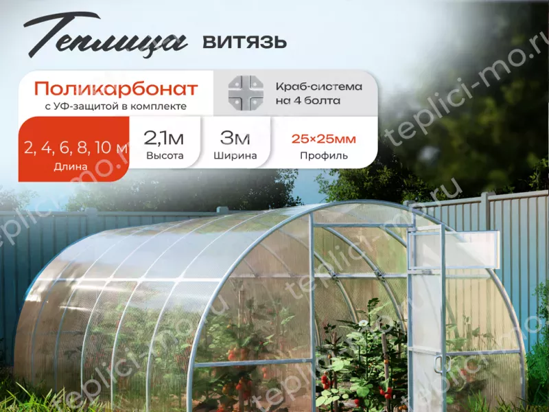 Оцинкованные теплицы Витязь из поликарбоната купить в Можайске